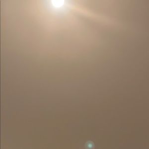 Meet your Posher, Cat